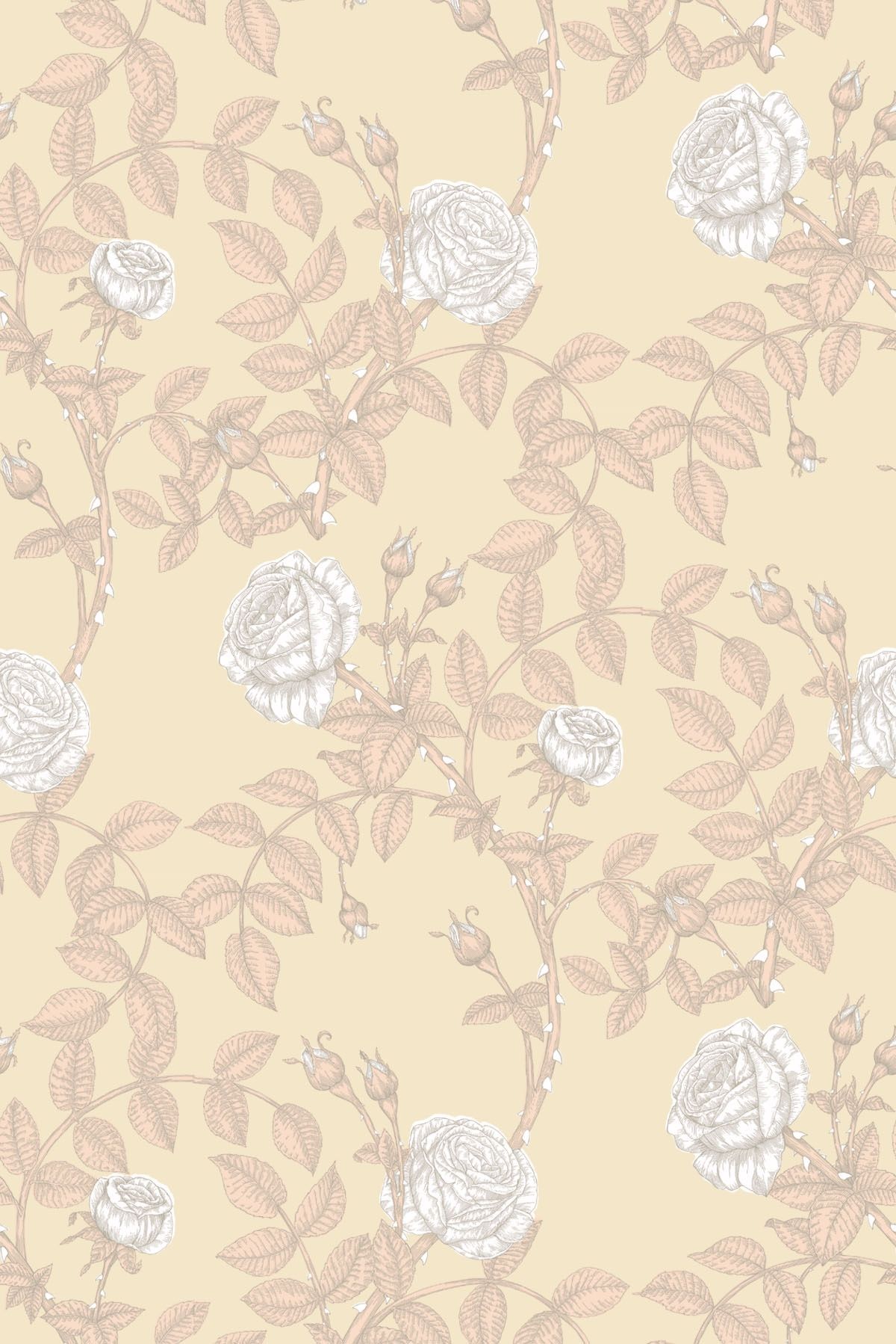 Edinburgh toile