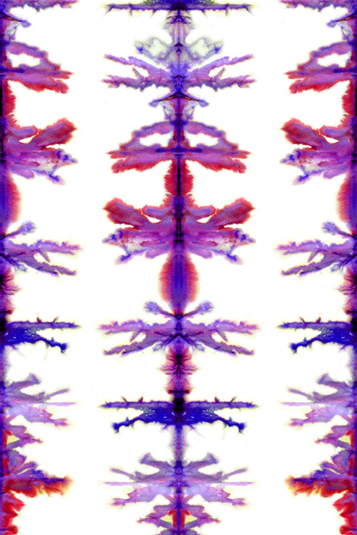 Petit Papillon De Nuit 