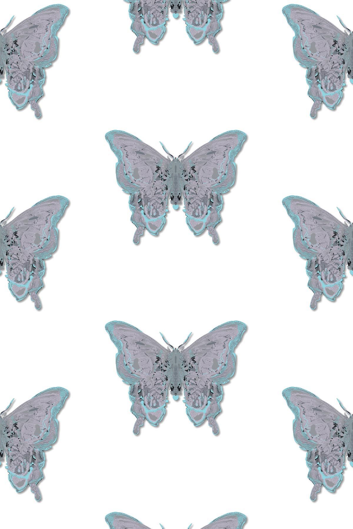 Petit Papillon De Nuit 