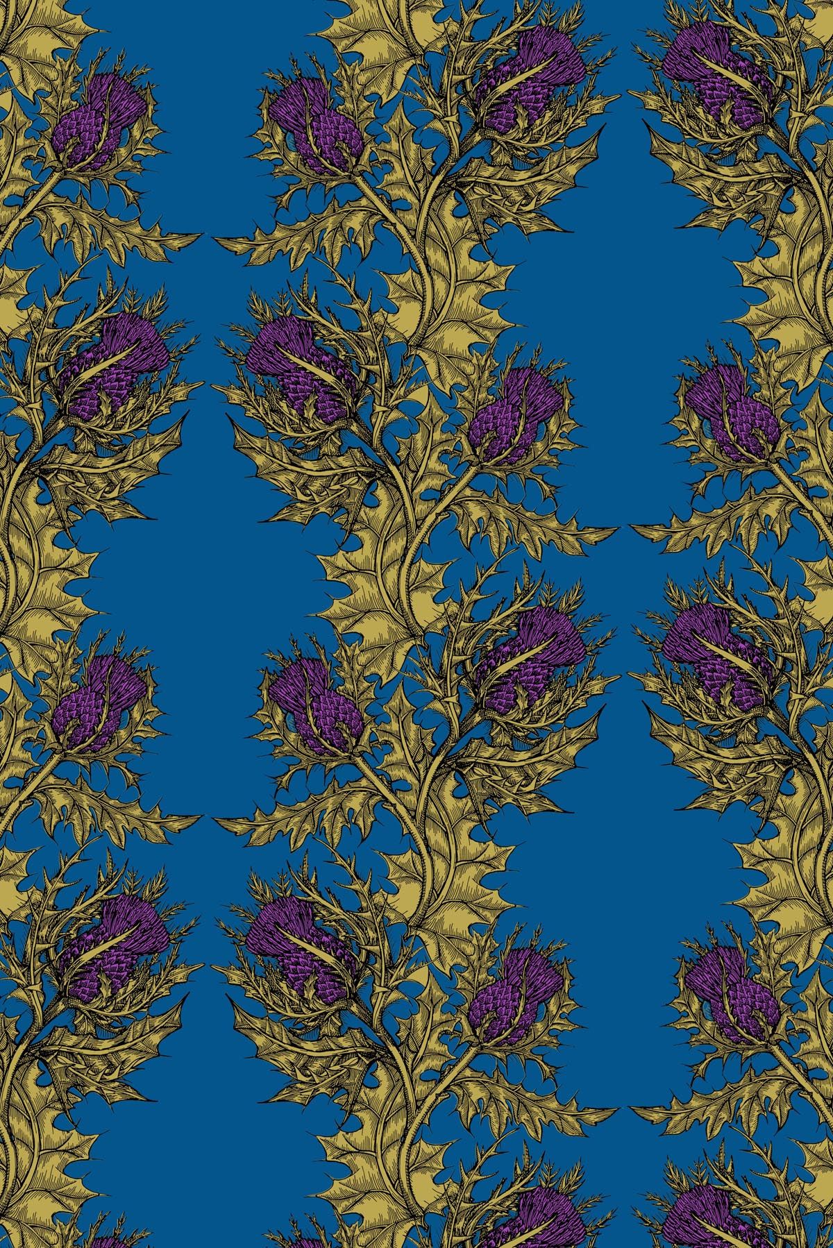 Grand Papillon De Nuit