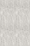 Colour Grey