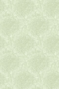 Colour Soft Lime