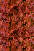 Colour Red