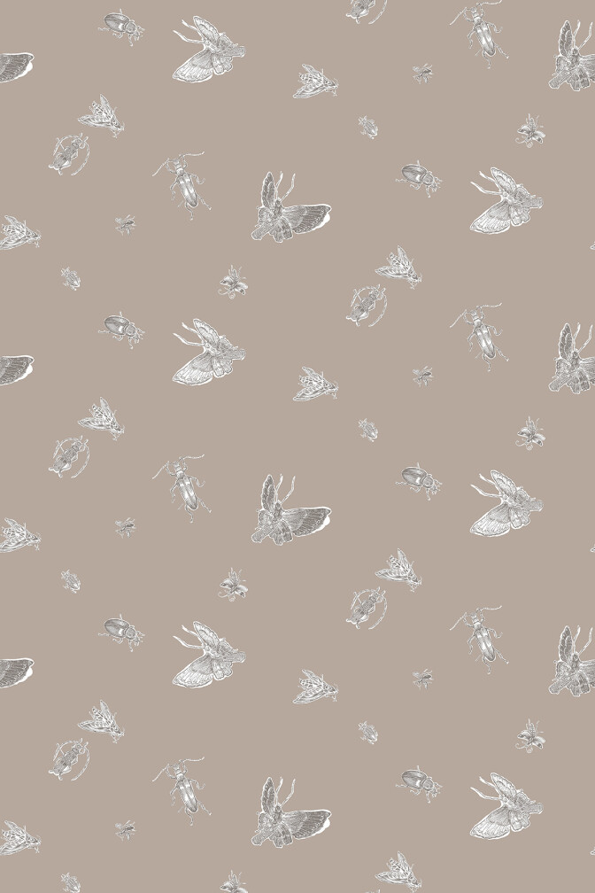 Insect Wallpaper / image 1