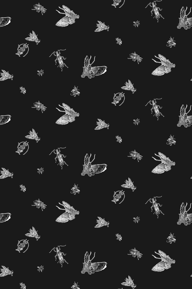 Insect Wallpaper / image 1