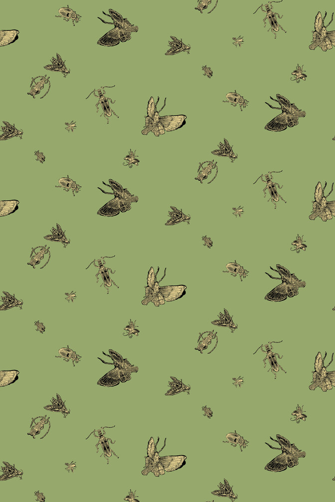 Insect Wallpaper / image 1