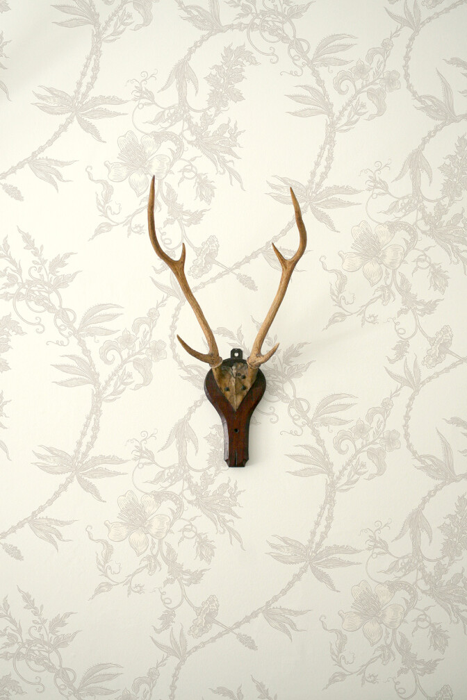 Vinea Wallpaper / image 3