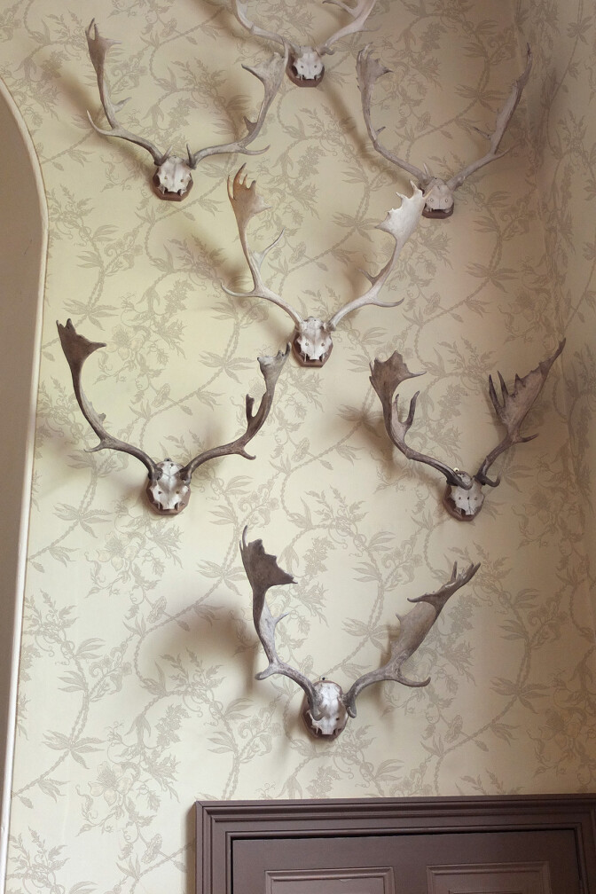 Vinea Wallpaper / image 4