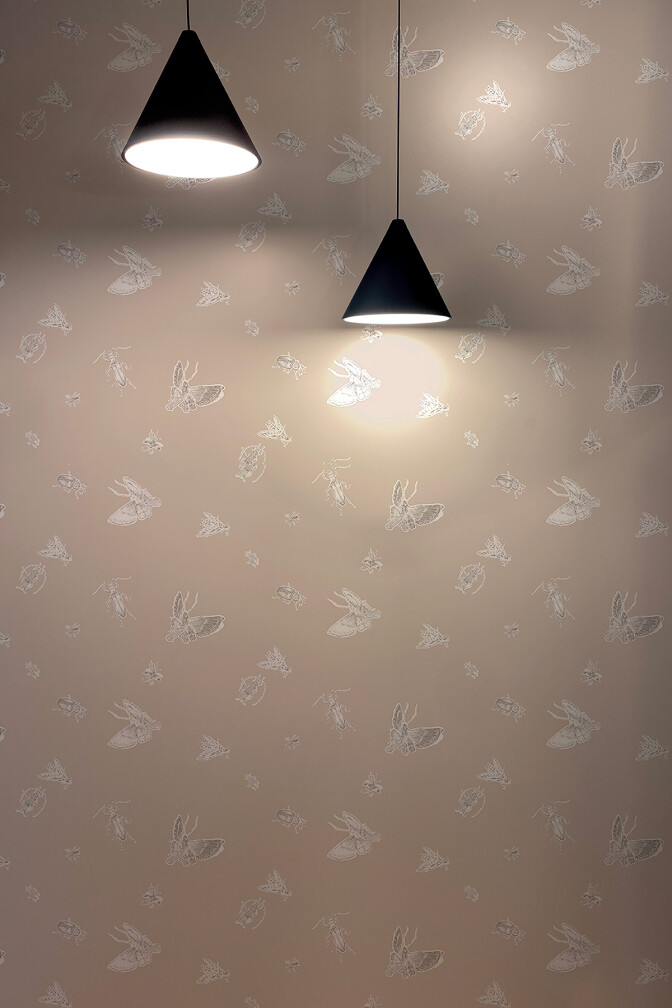 Insect Wallpaper / image 2