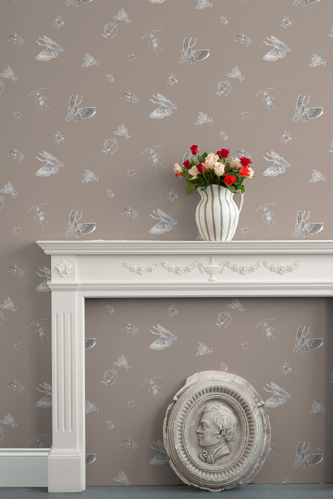 Insect Wallpaper / image 4