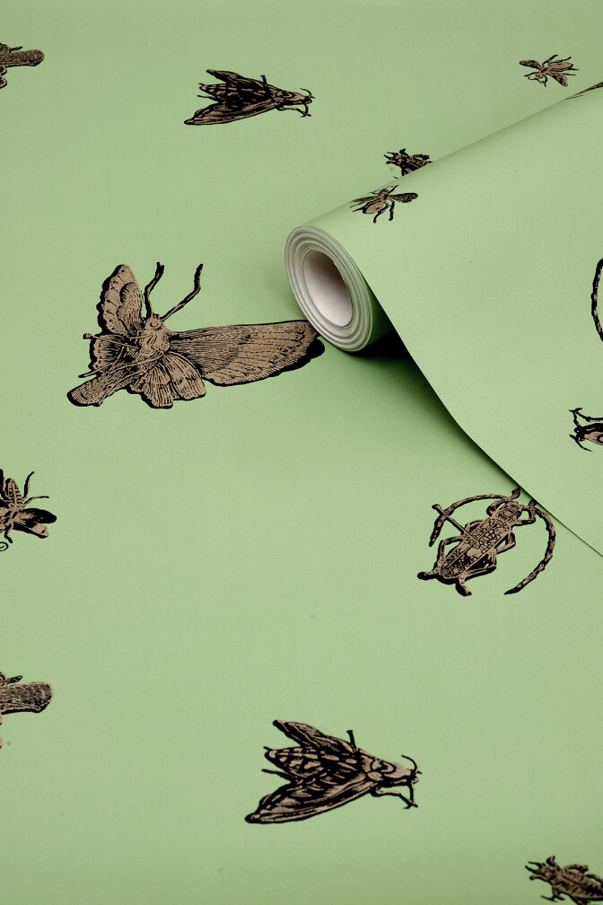 Insect Wallpaper / image 2