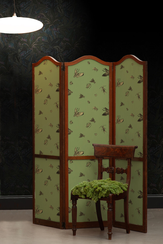 Insect Wallpaper / image 4