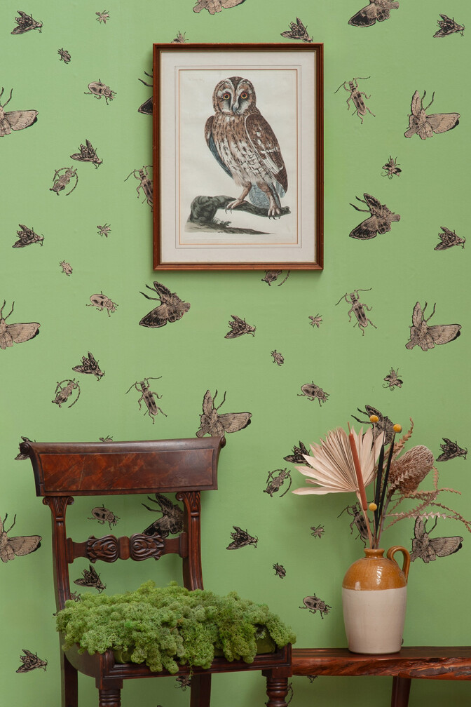 Insect Wallpaper / image 5