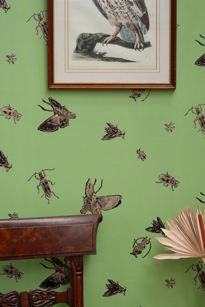 Insect Wallpaper / image 6