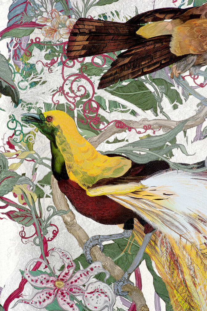 XL Jungle Modular Wallpaper Panels: Papua Paradise / image 2