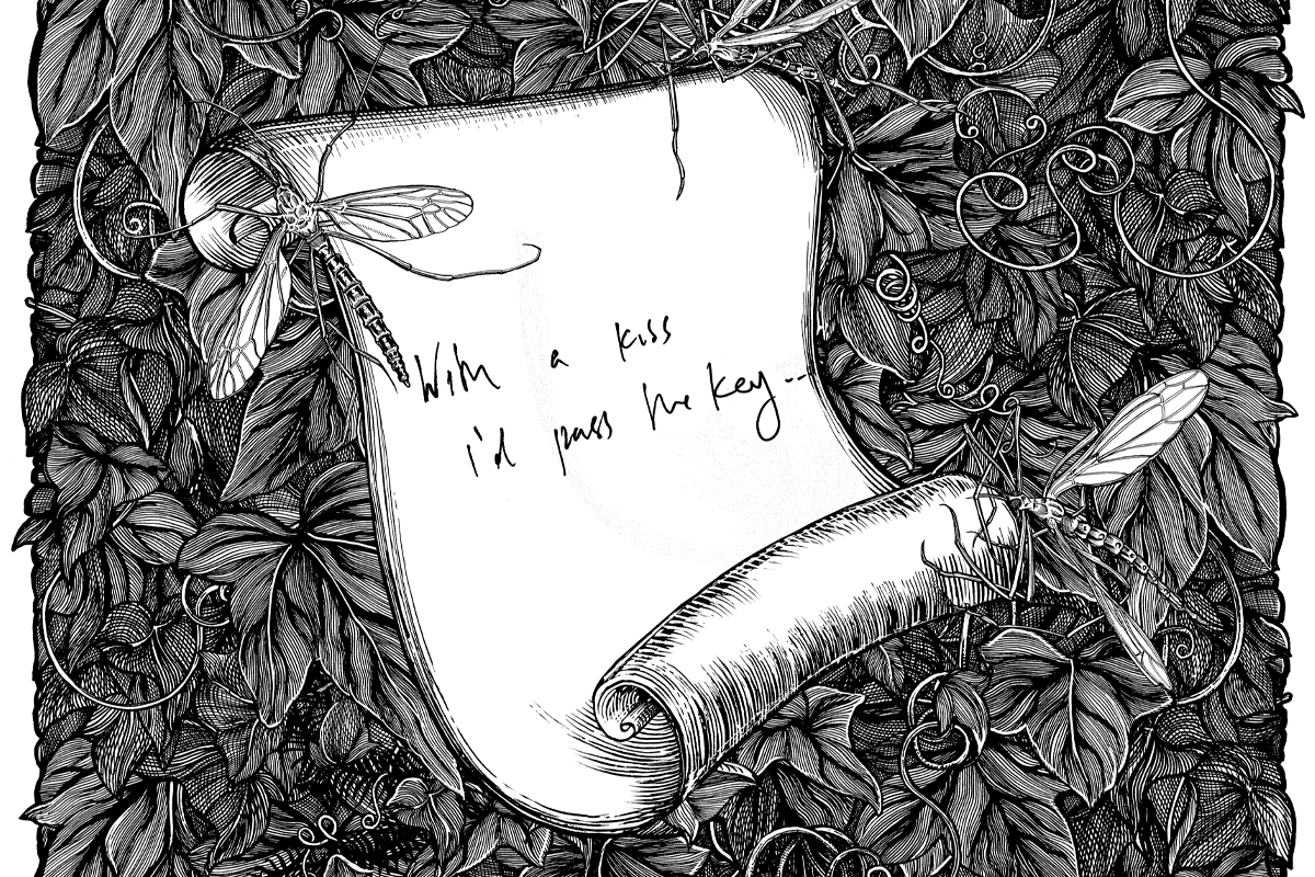 Illustrating for Kate Bush | The Sketchbook