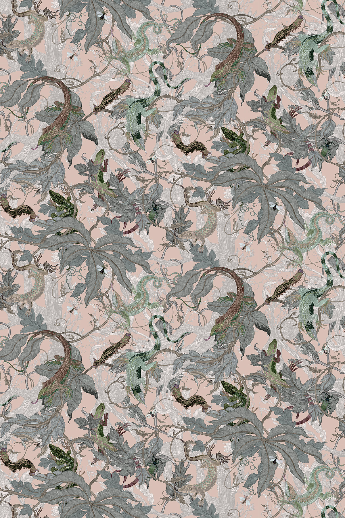 Lacerta Wallpaper