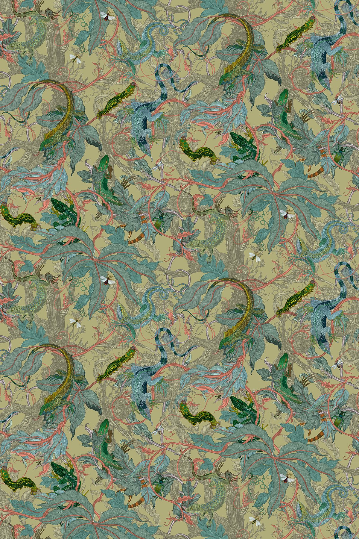 Colour Copaxa