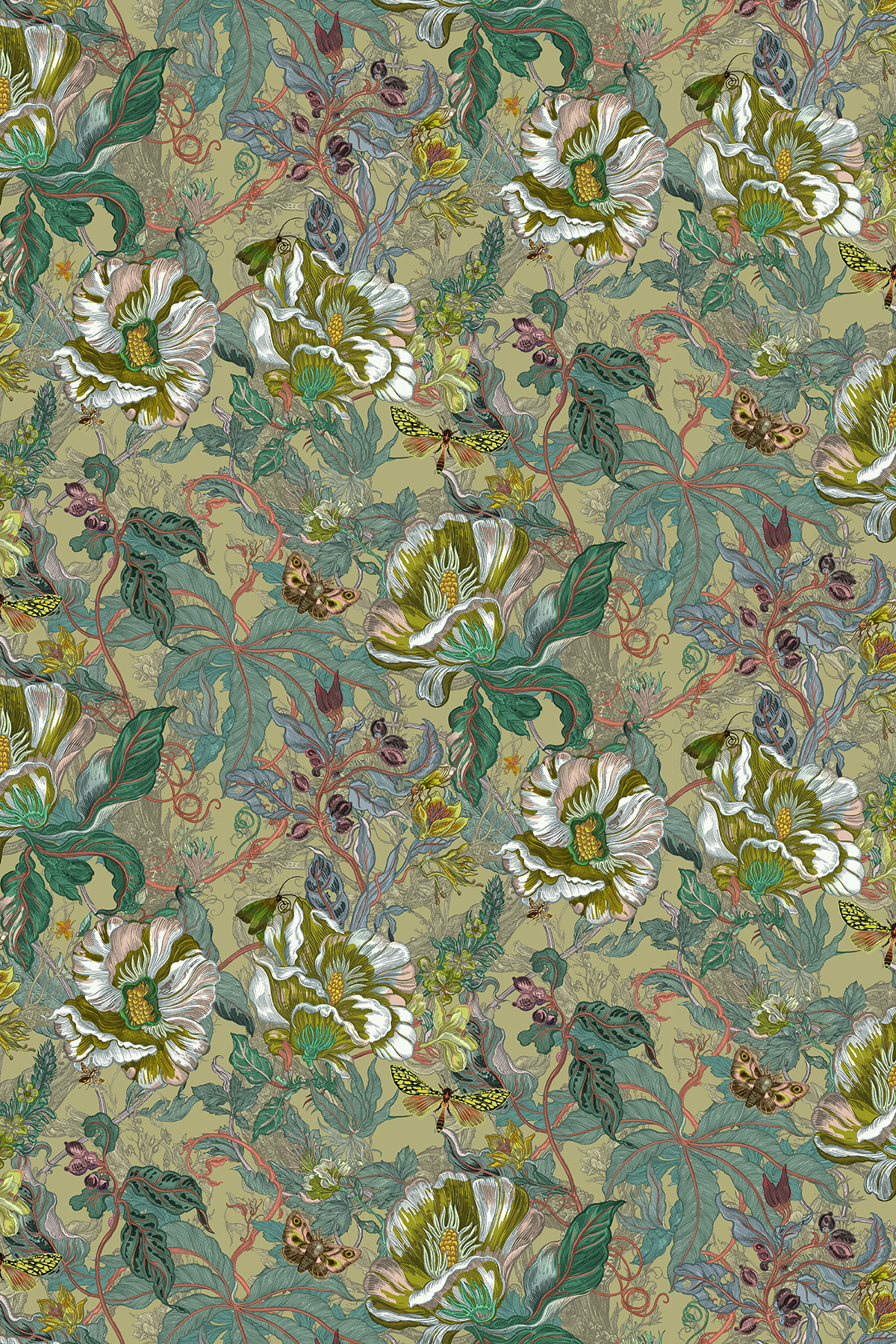 Colour Copaxa