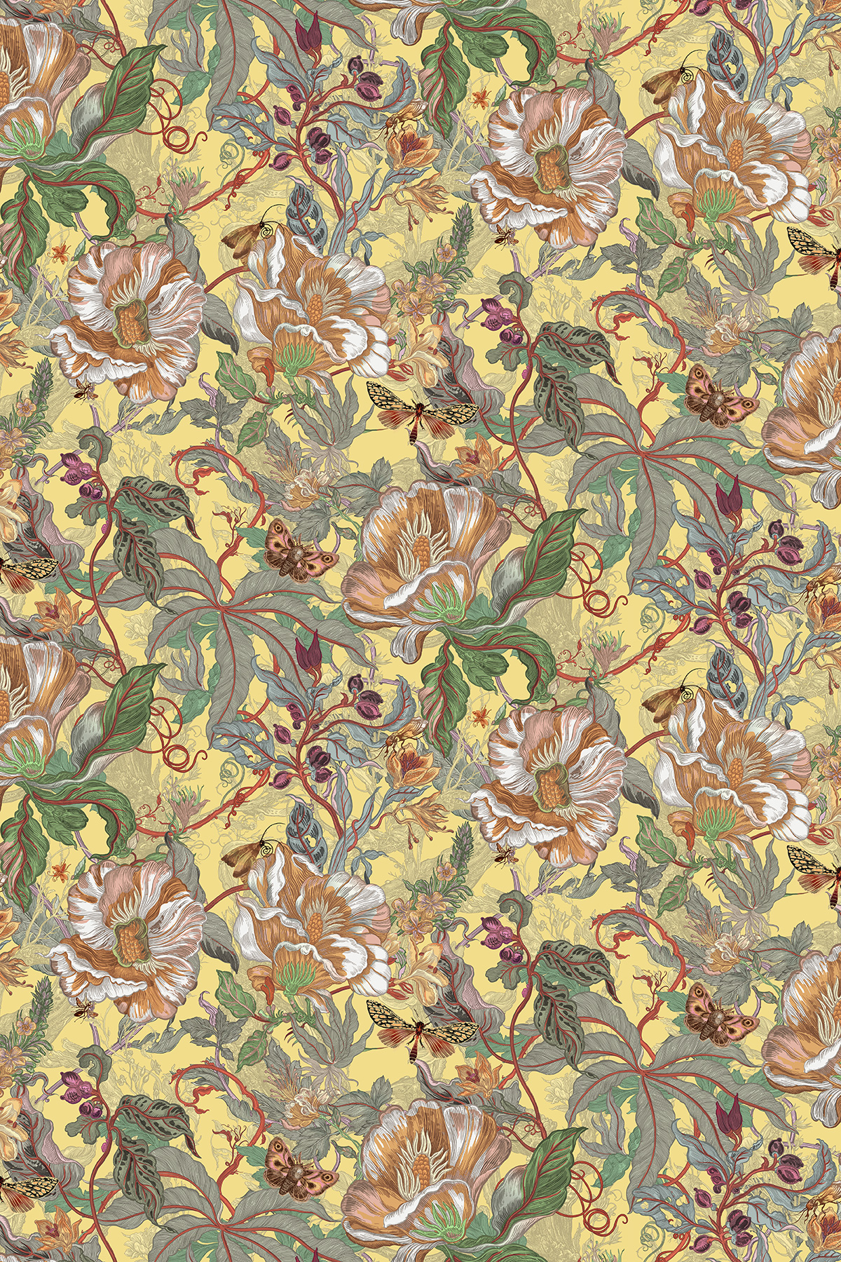 Papaver Wallpaper / image 1