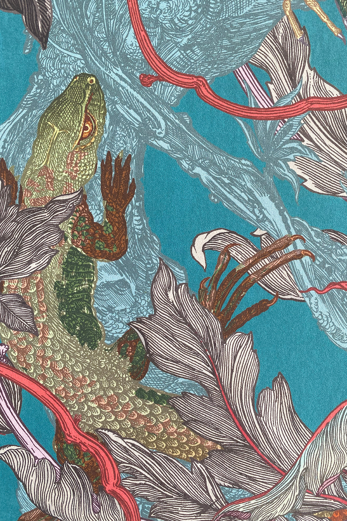 Lacerta Wallpaper / image 3