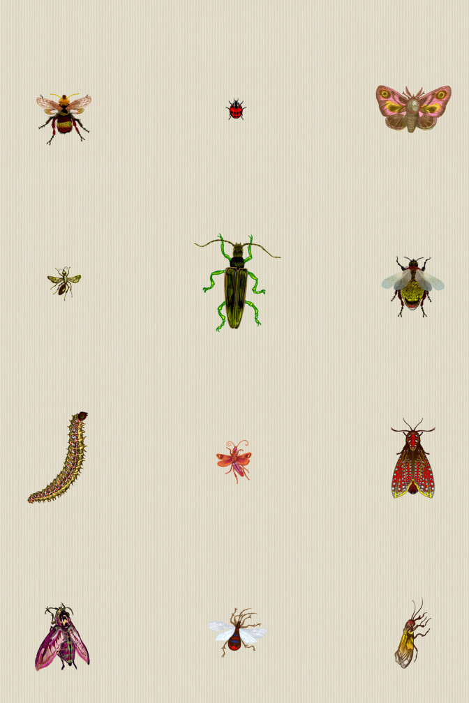 Insect Grid Wallpaper / image 2