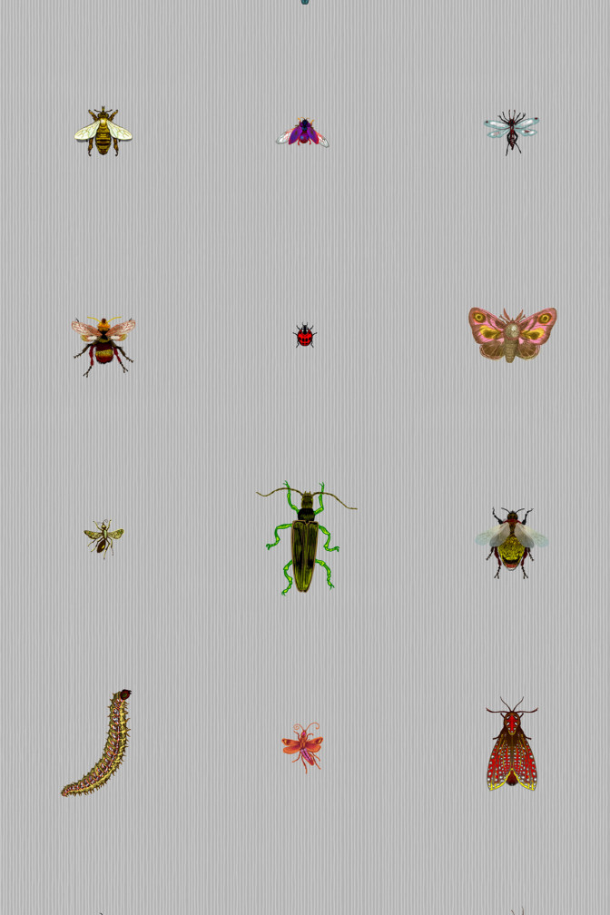 Insect Grid Wallpaper / image 2