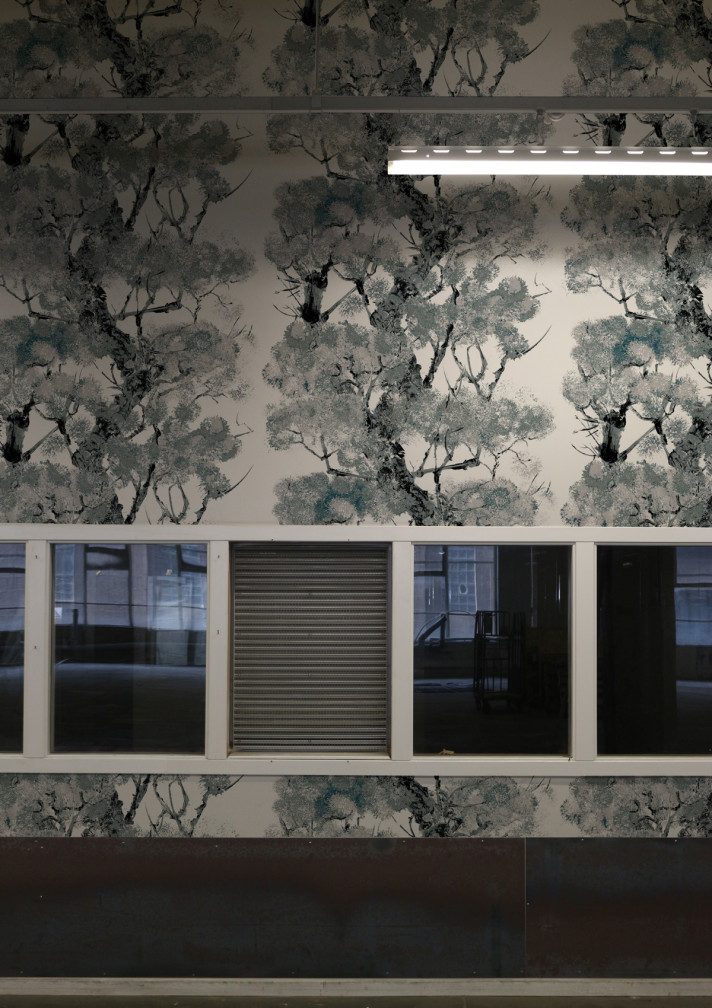 Pinyin Tree Superwide Wallpaper / image 3
