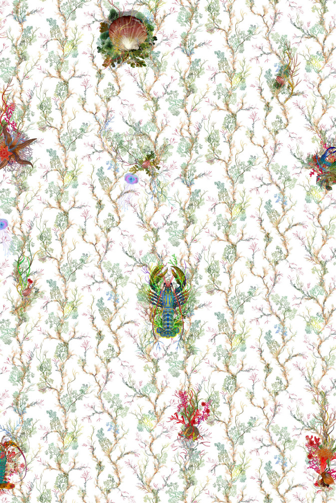 Seashore Galore Wallpaper