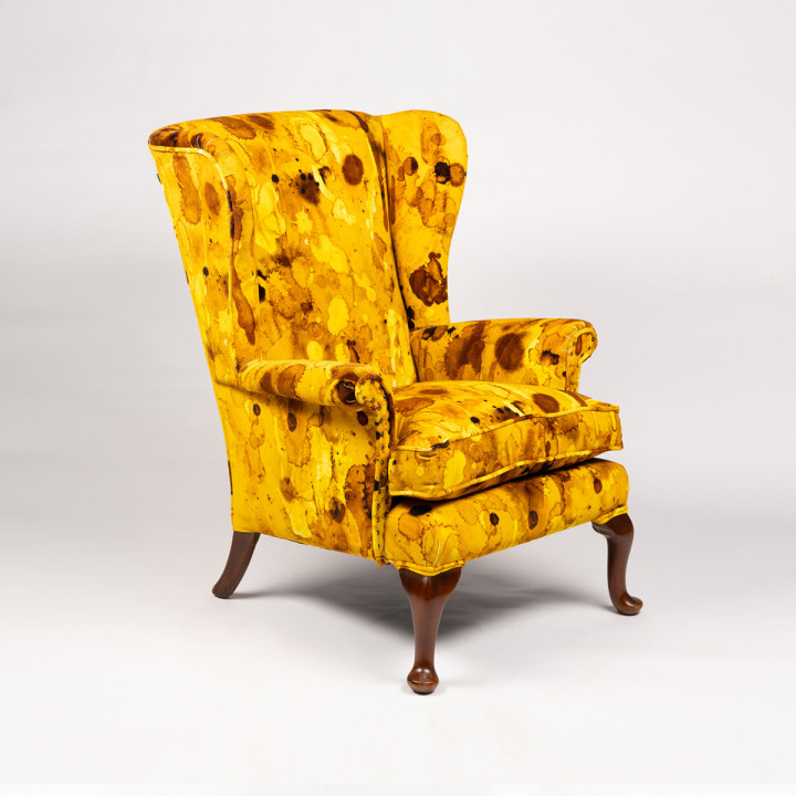 Storm Blotch Yellow Wingback / image 1