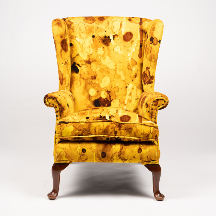 Storm Blotch Yellow Wingback / image 2