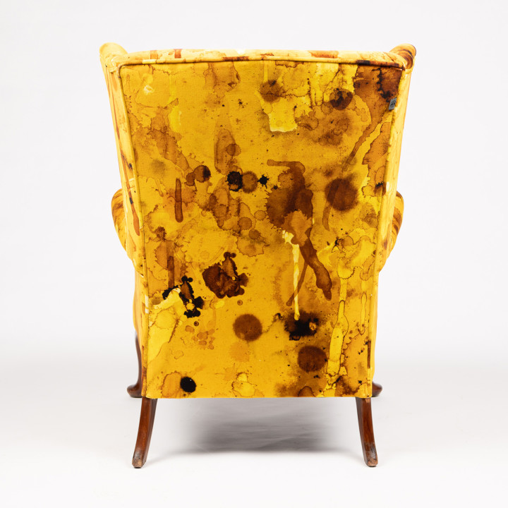 Storm Blotch Yellow Wingback / image 4