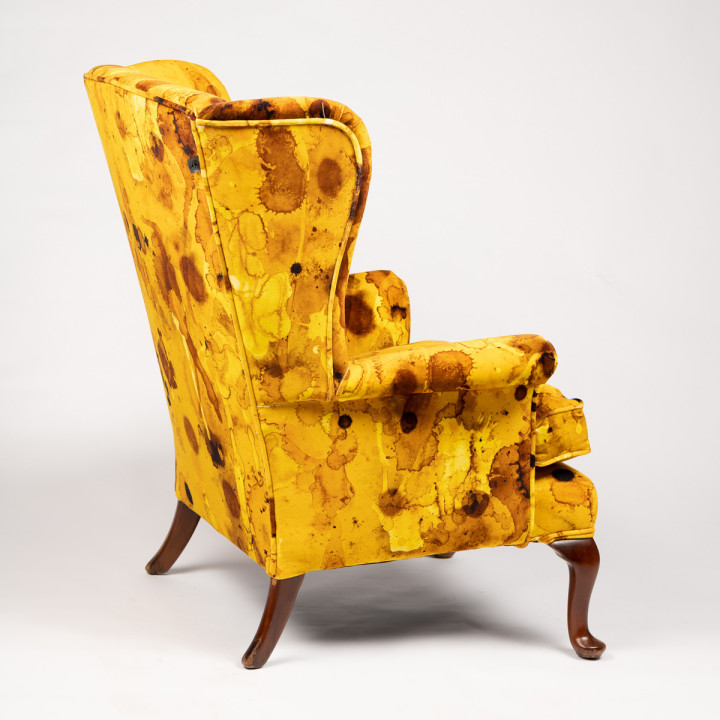 Storm Blotch Yellow Wingback / image 5