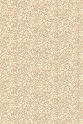 Colour Sandtan