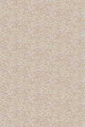 Colour Sand Lark