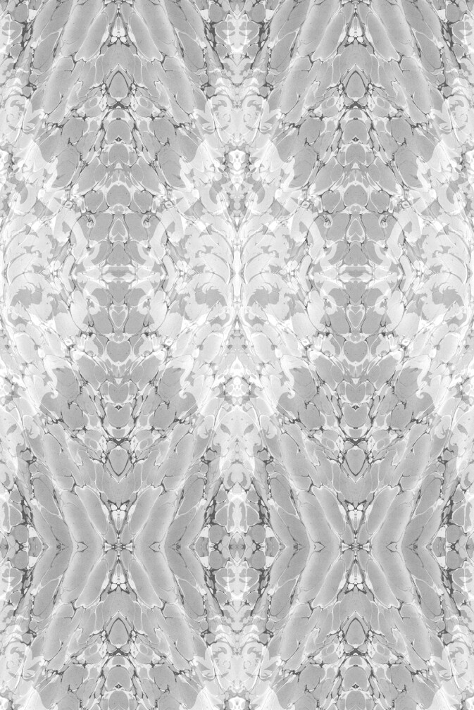 Ex Libris Wallpaper / image 1