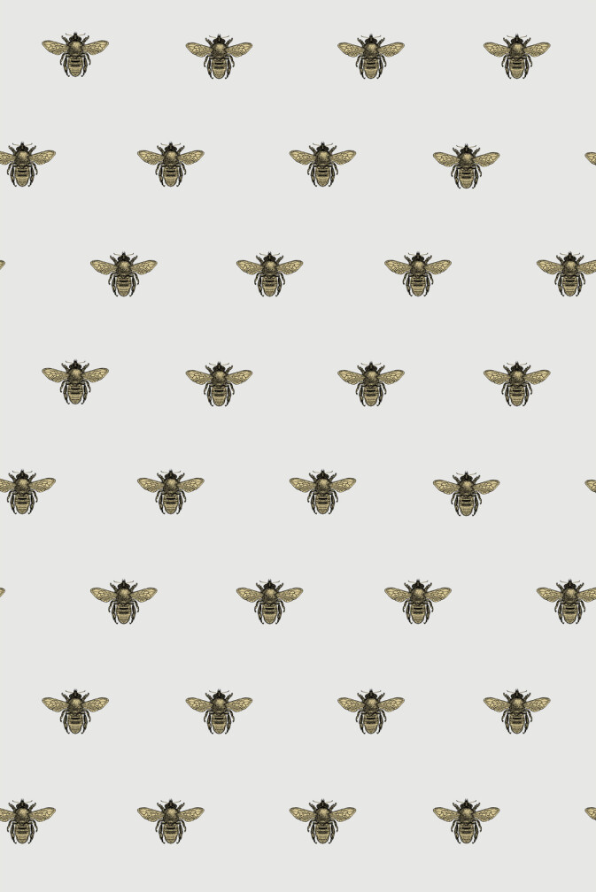 Honey Bee Wallpaper / image 1