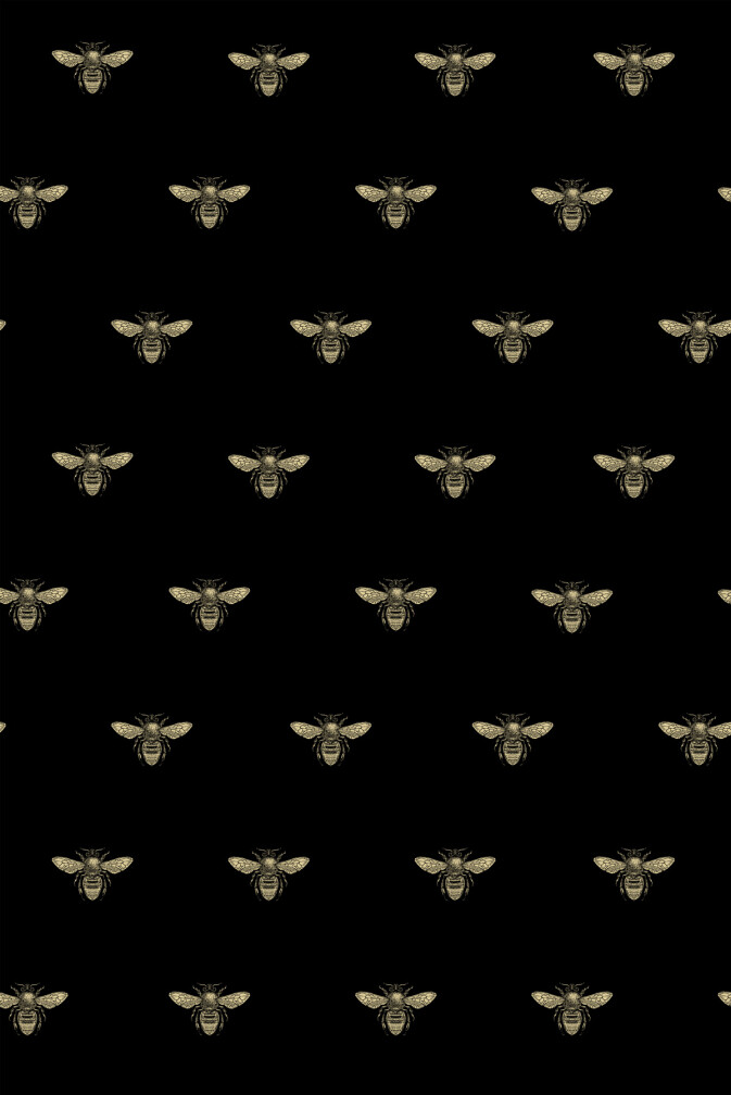 Honey Bee Wallpaper / image 1