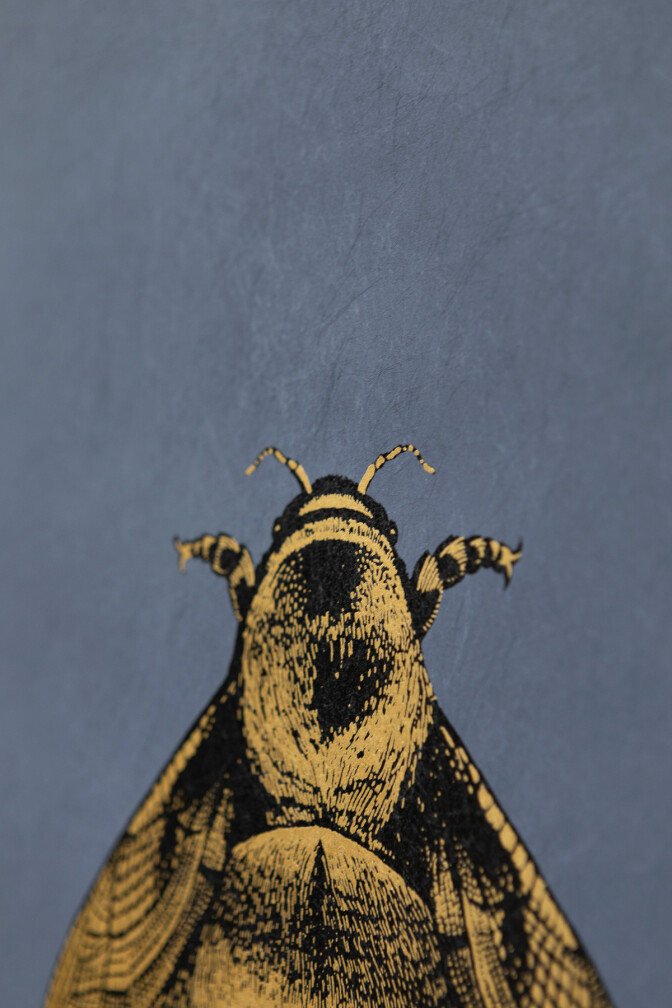 Napoleon Bee Wallpaper / image 3