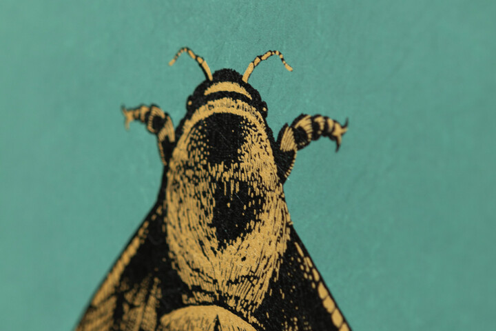 Napoleon Bee Wallpaper / image 4