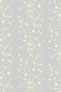 Colour White & Gold on Pale Grey