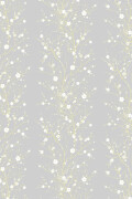 Colour White & Gold on Pale Grey
