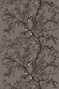 Colour Dark Grey