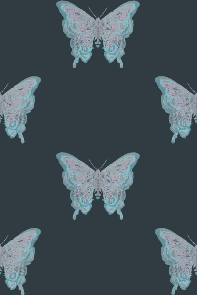 Butterfly Wallpaper / image 1