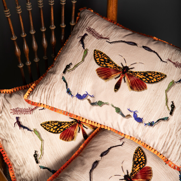 Wood Moth Fringed Velvet Cushion / image 3