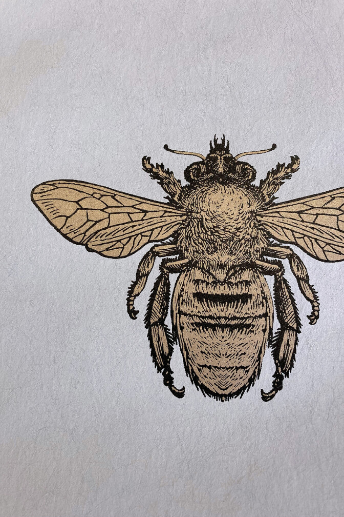 Honey Bee Wallpaper / image 3
