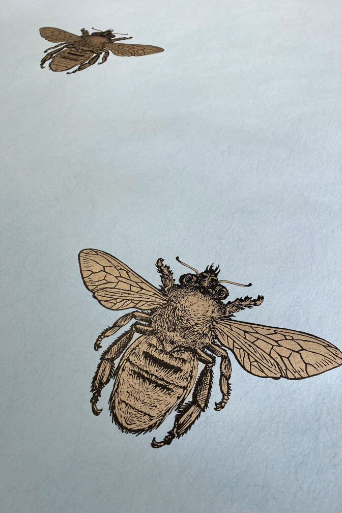 Honey Bee Wallpaper / image 3