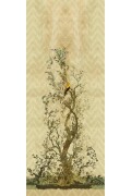 Colour Oriole Left Beige