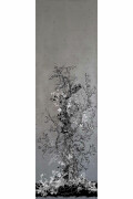 Colour Silver Panel B1