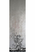 Colour Silver Panel C2